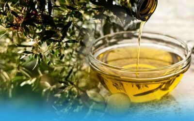 Olivenöl – Medizin, die schmeckt